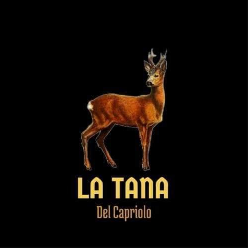 La Tana Del Capriolo Apartment Prati di Tivo Ngoại thất bức ảnh